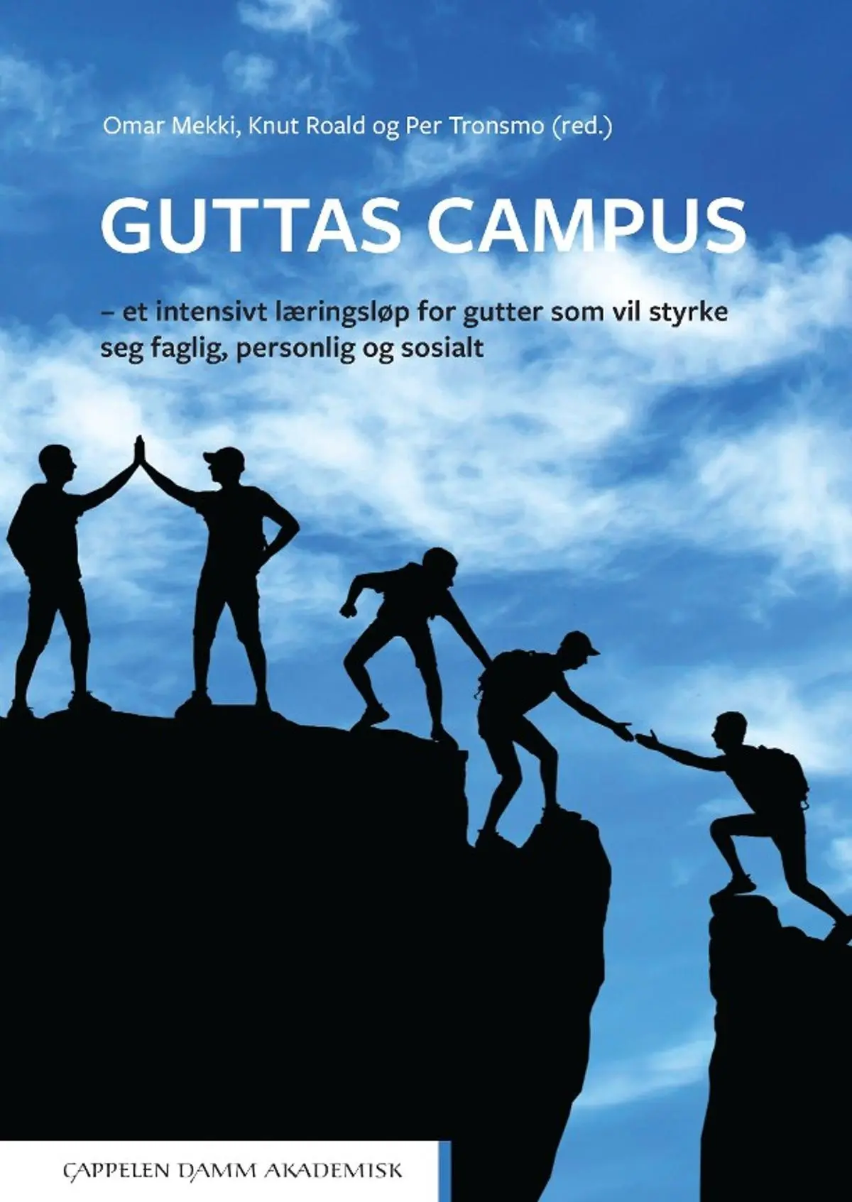 Guttas Campus: et intensivt læringsløp for gutter som vil styrke seg faglig, personlig og sosialt