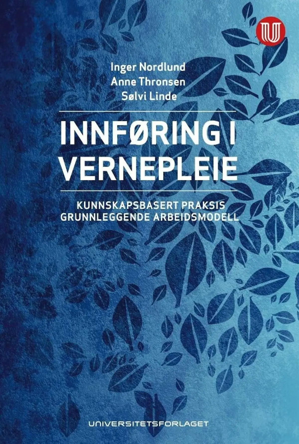 Innføring i vernepleie: kunnskapsbasert praksis - grunnleggende arbeidsmodell