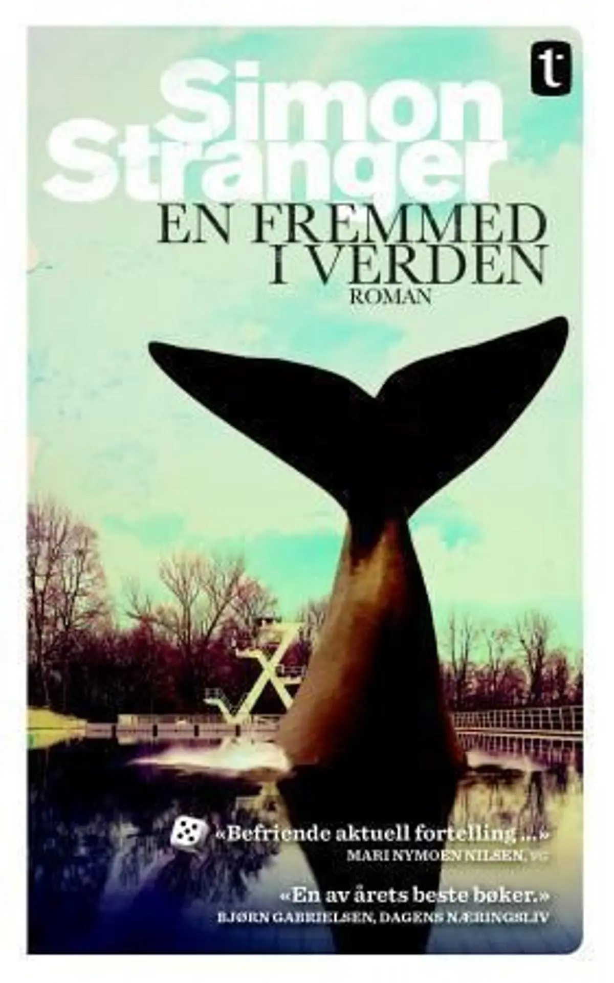 En fremmed i verden: roman