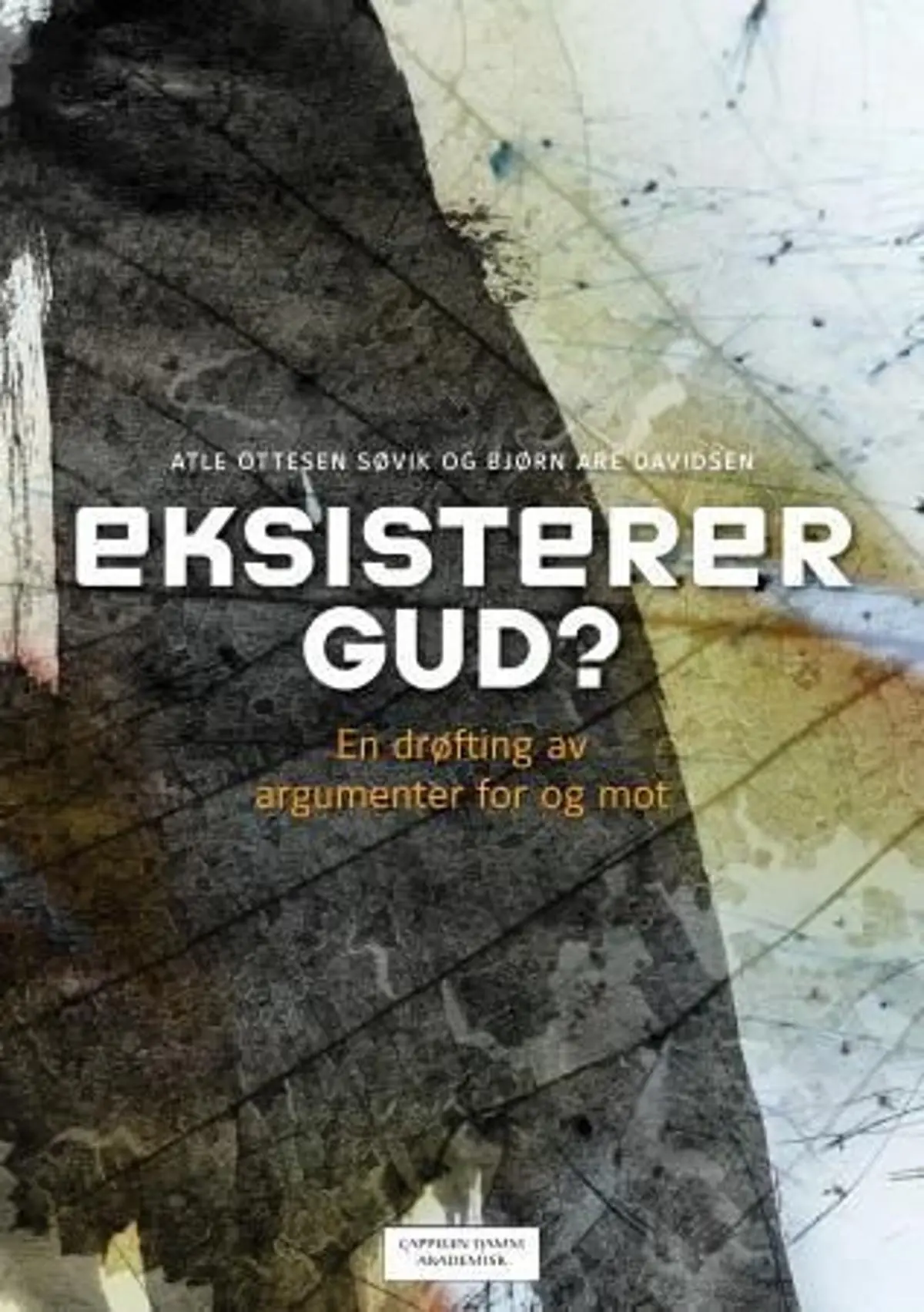 Eksisterer Gud?: en drøfting av argumenter for og mot