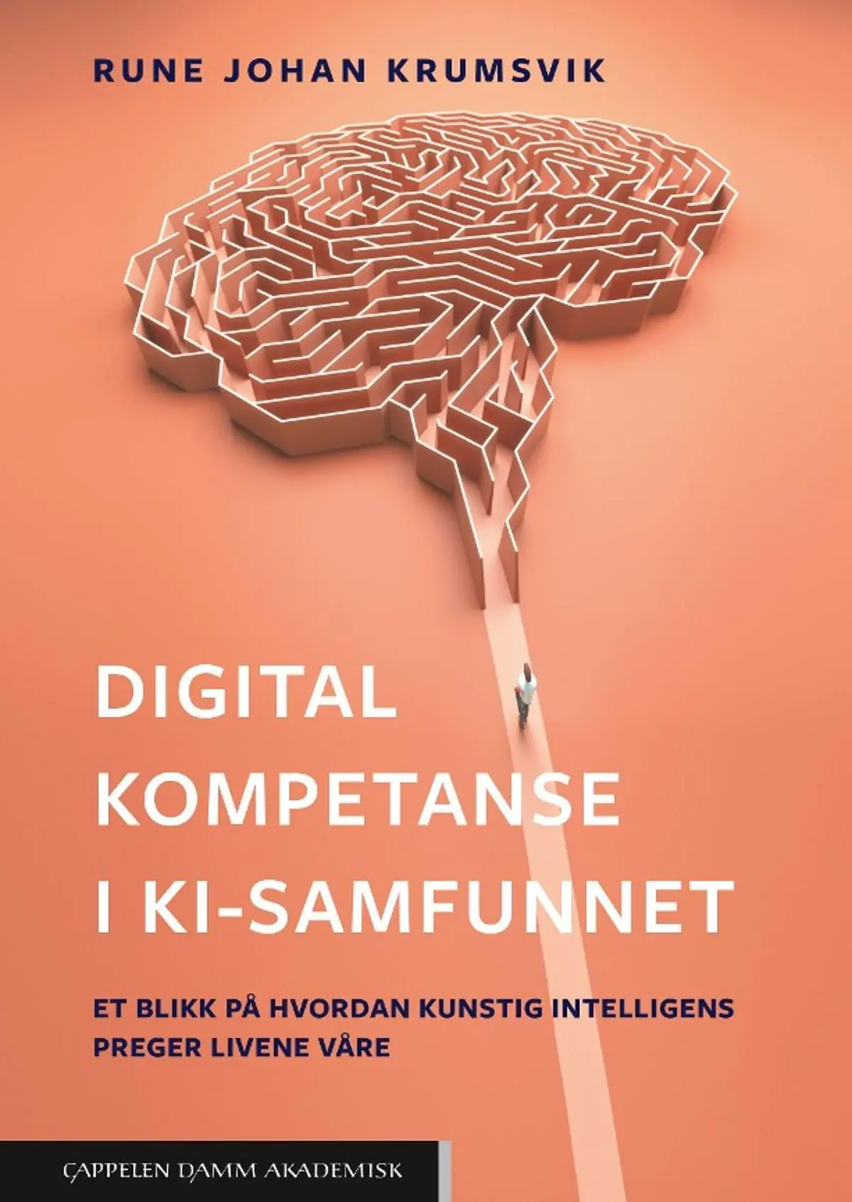 Digital kompetanse i KI-samfunnet: et blikk på hvordan kunstig intelligens preger livene våre