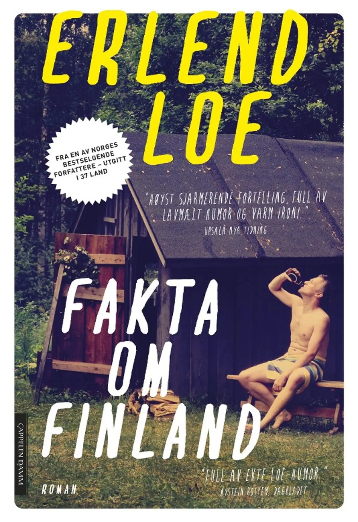 Fakta om Finland: roman