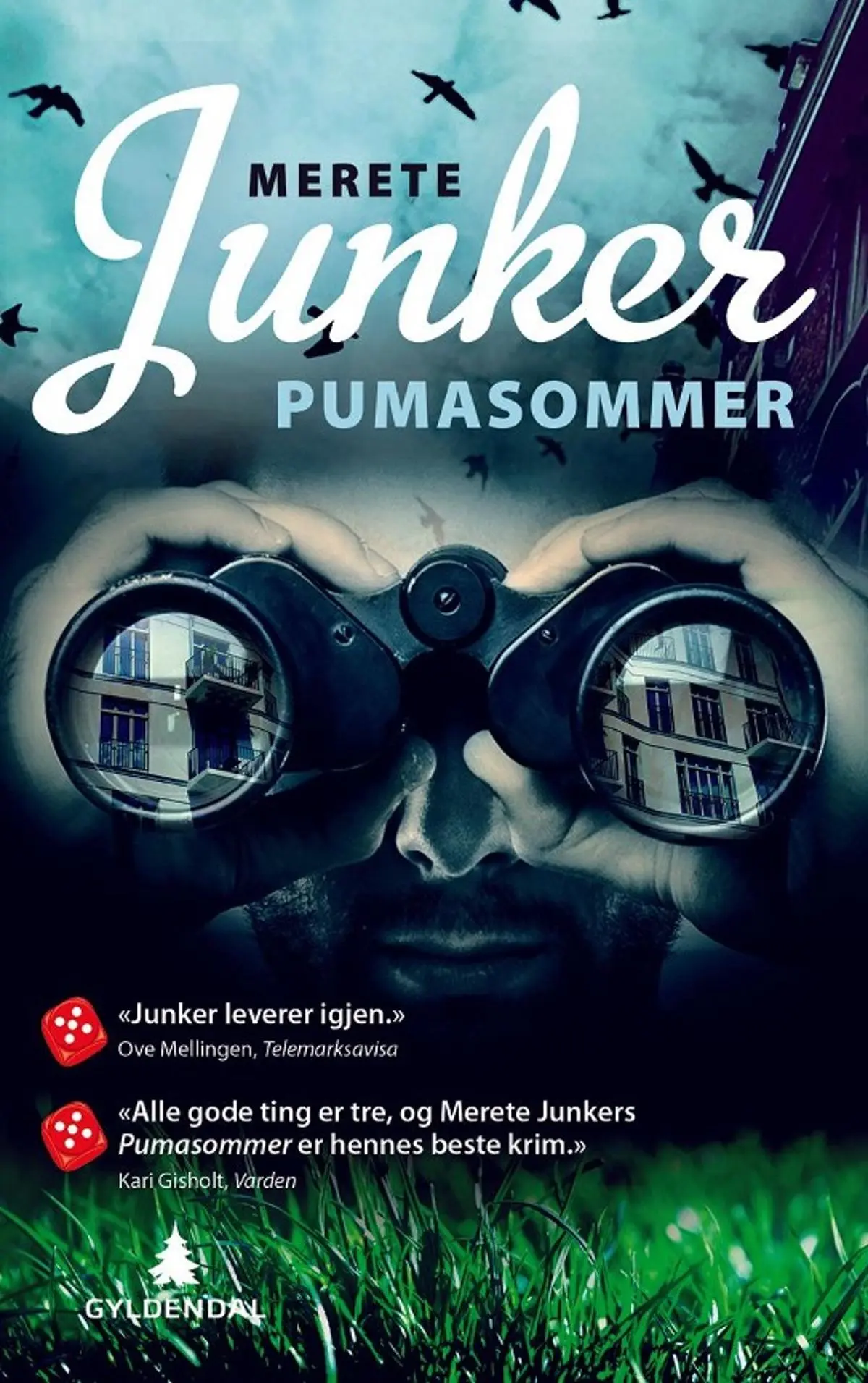 Pumasommer: kriminalroman