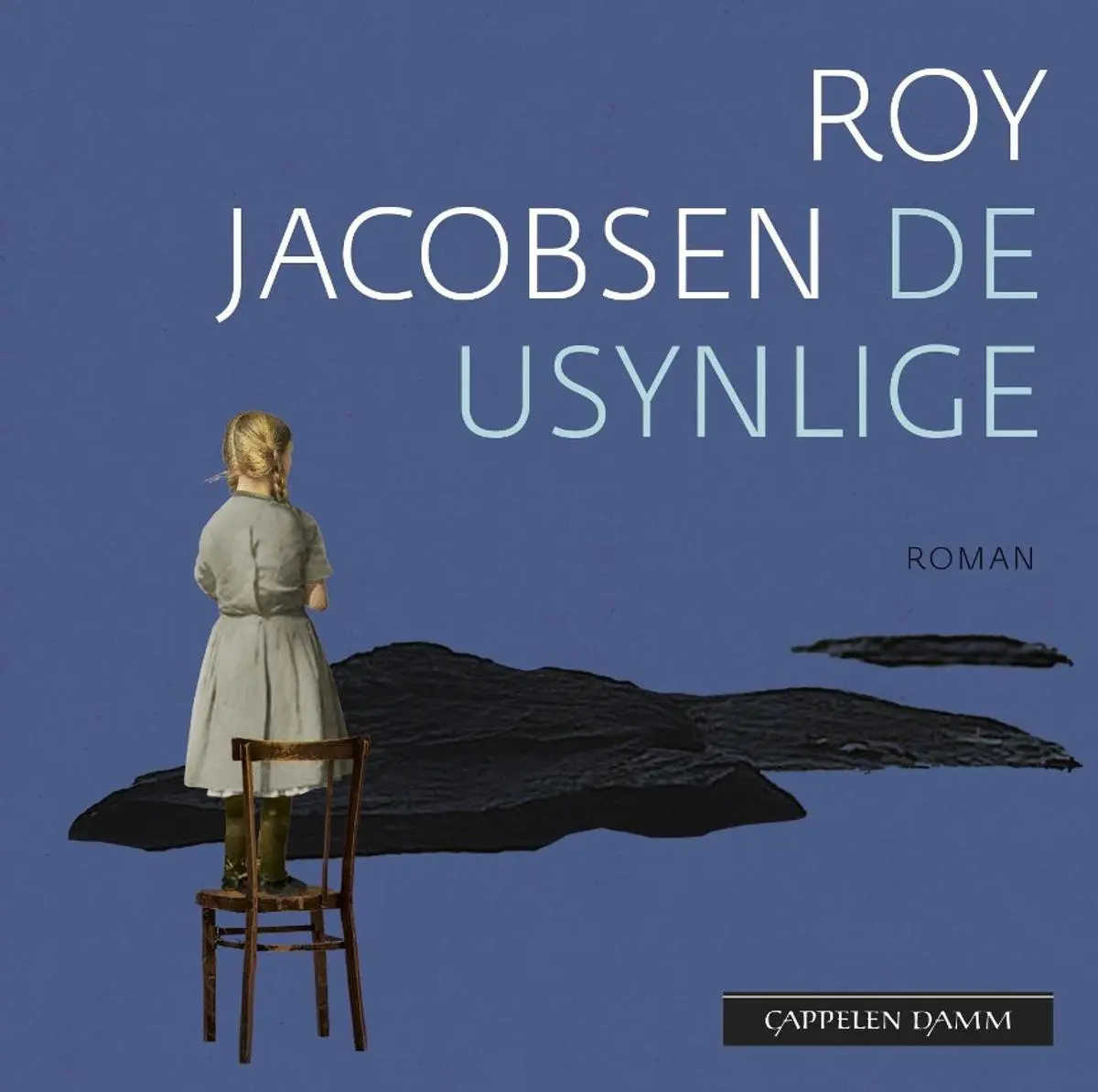 De usynlige: roman