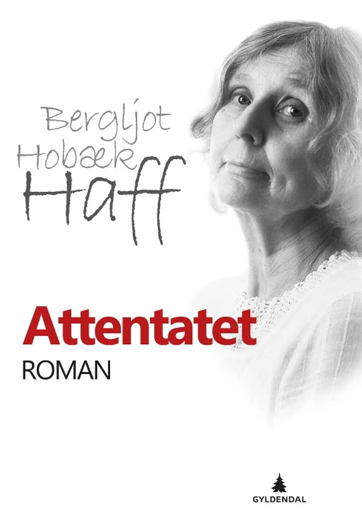 Attentatet: roman