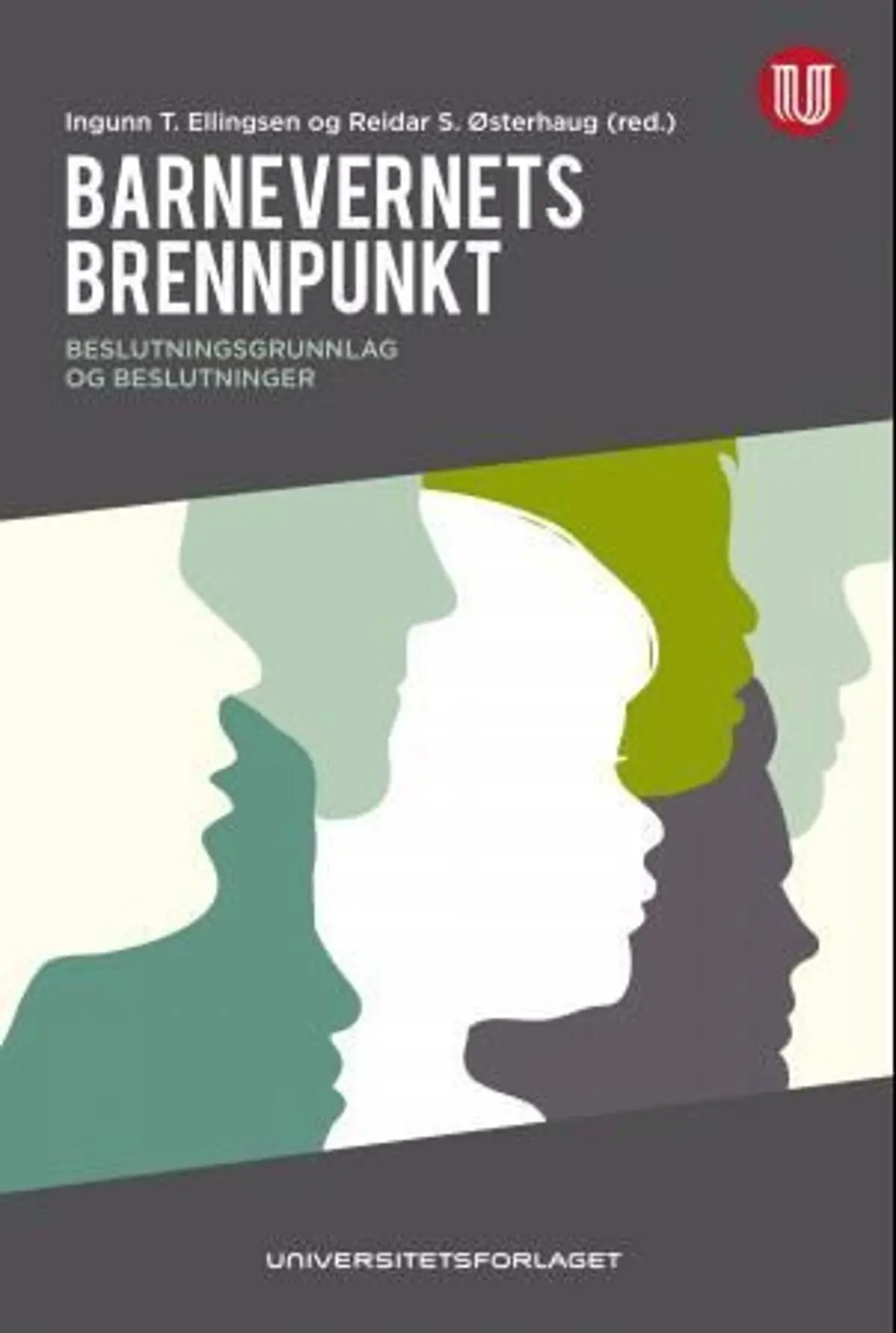 Barnevernets brennpunkt: beslutninger og beslutningsgrunnlag i barnevernet