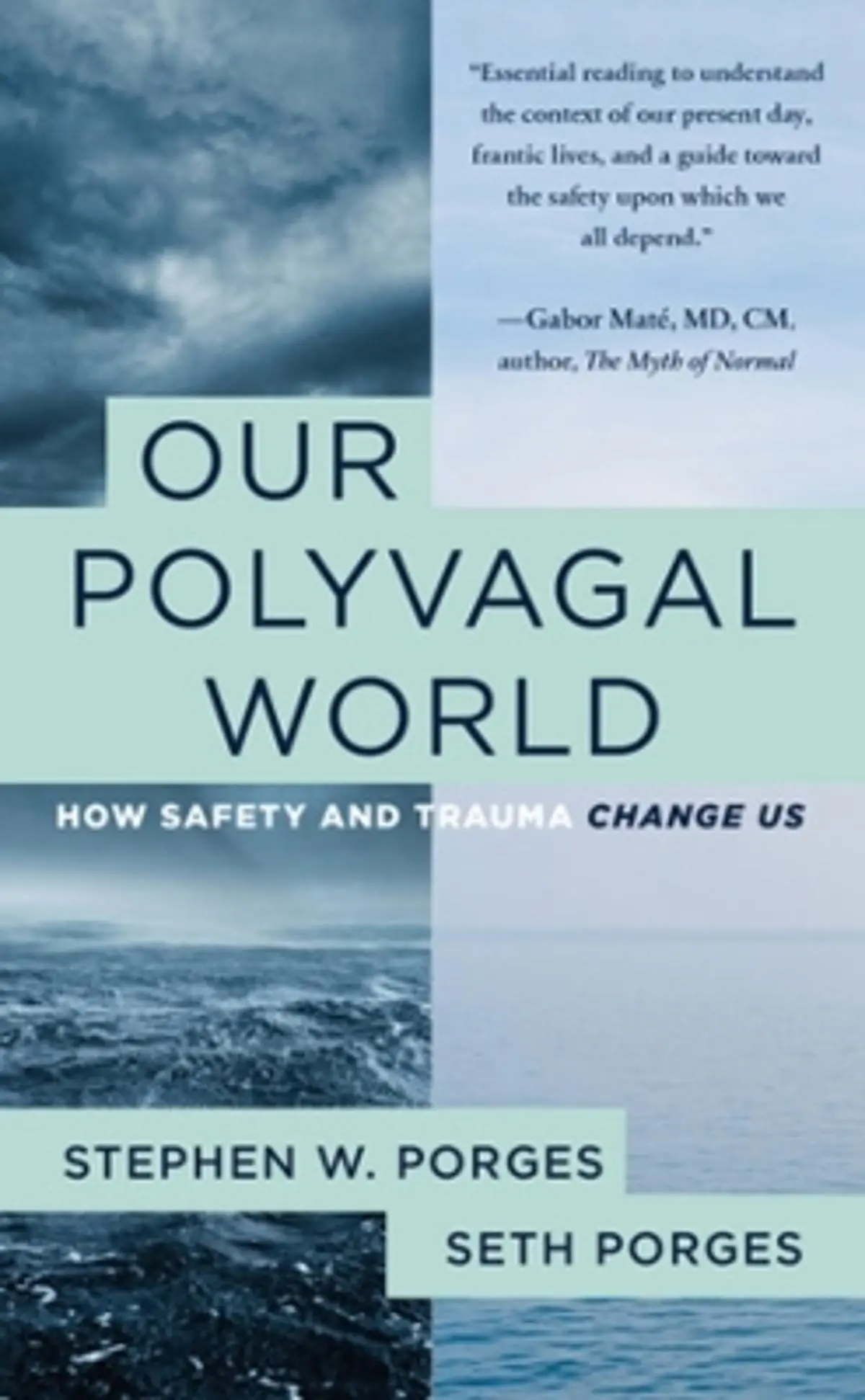 Our Polyvagal World: How Safety and Trauma Change Us