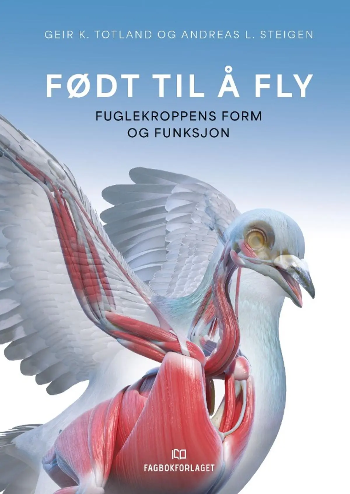 Født til å fly: fuglekroppens form og funksjon