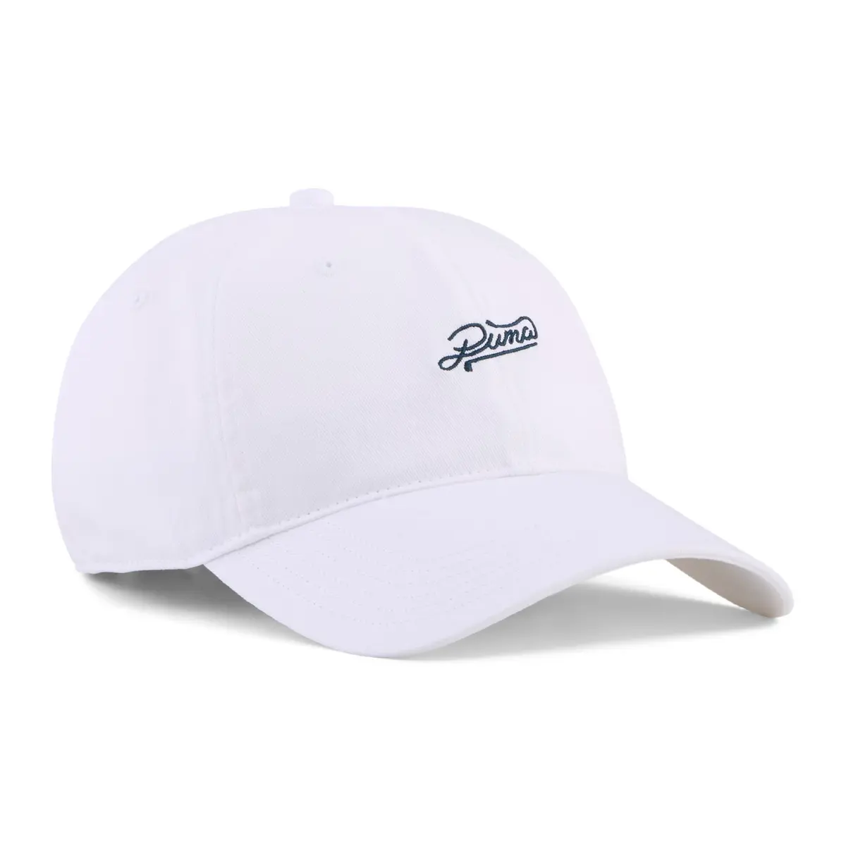 W S Script Dad Cap