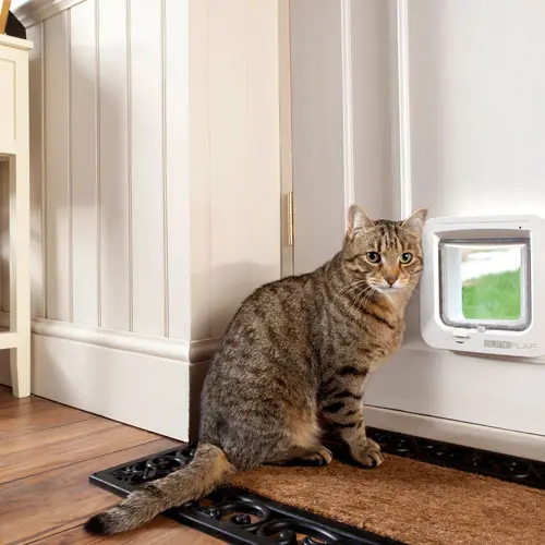 SUREFLAP CATFLAP - CHIPSTYRT KATTELUKE