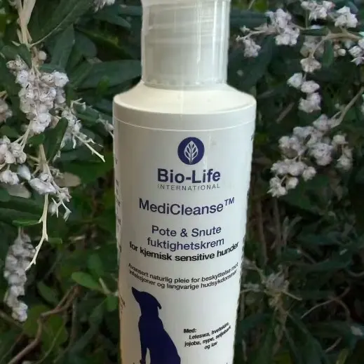 MEDICLEANSE POTE- & SÅRKREM - 100ml