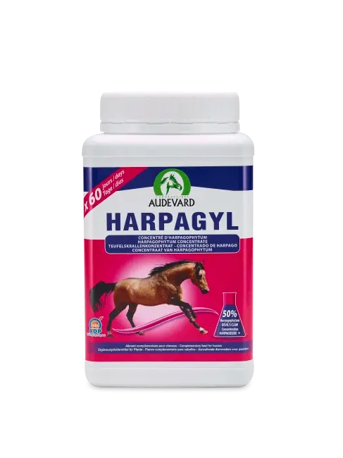 HARPAGYL 900g