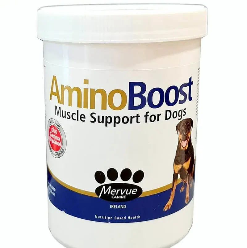 AMINO-BOOST - 100g (utgående produkt) 1 igjen