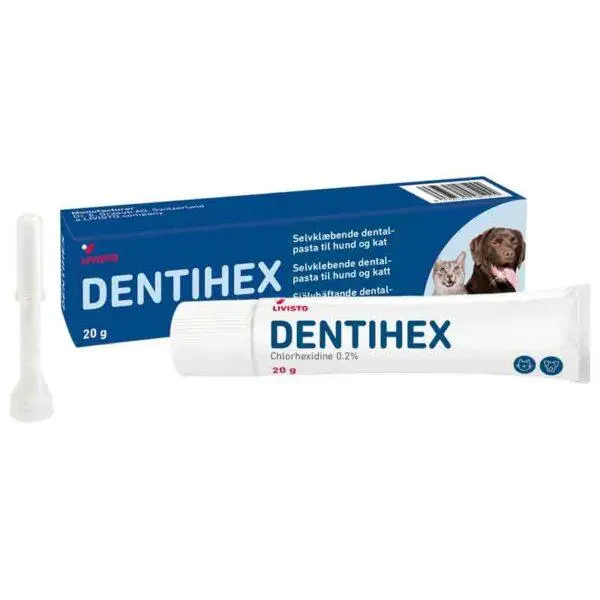 DENTIHEX - 20g