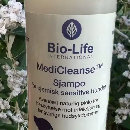 MEDICLEANSE ALLERGIHEMMENDE SJAMPO - 250ml