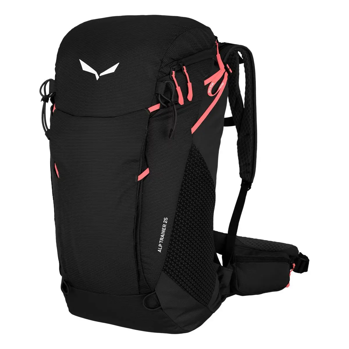 Salewa Alp Trainer 25 Black Out
