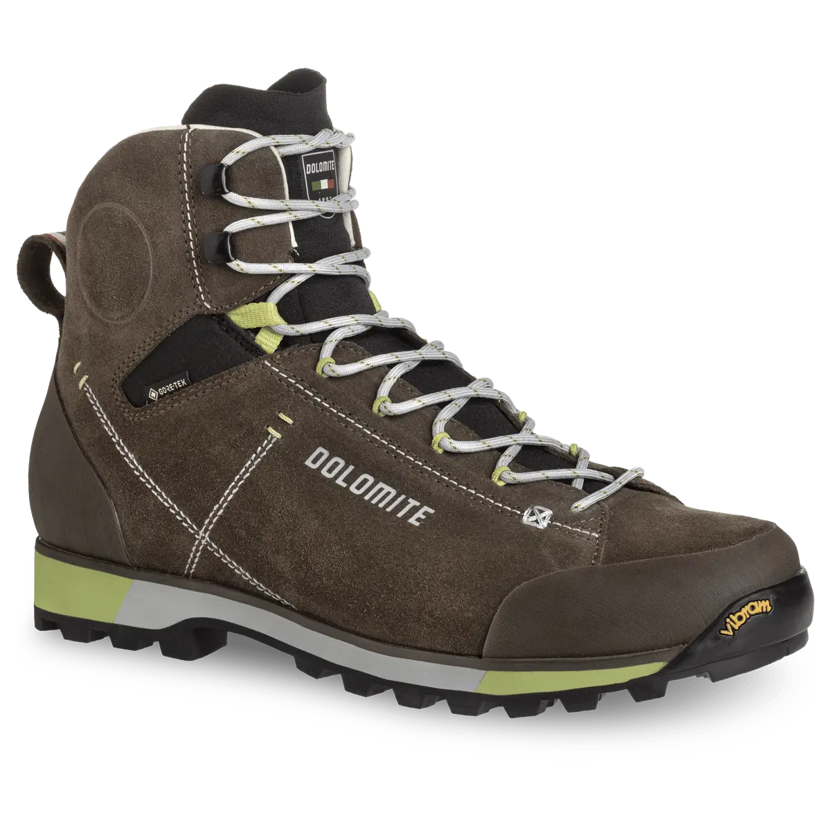 Dolomite Men's 54 Hike Evo GORE-TEX Mud Green/green