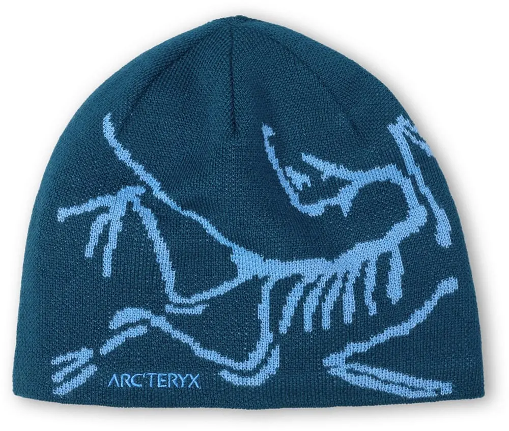 Arc'teryx Bird Head Toque Nightscape / Glacial