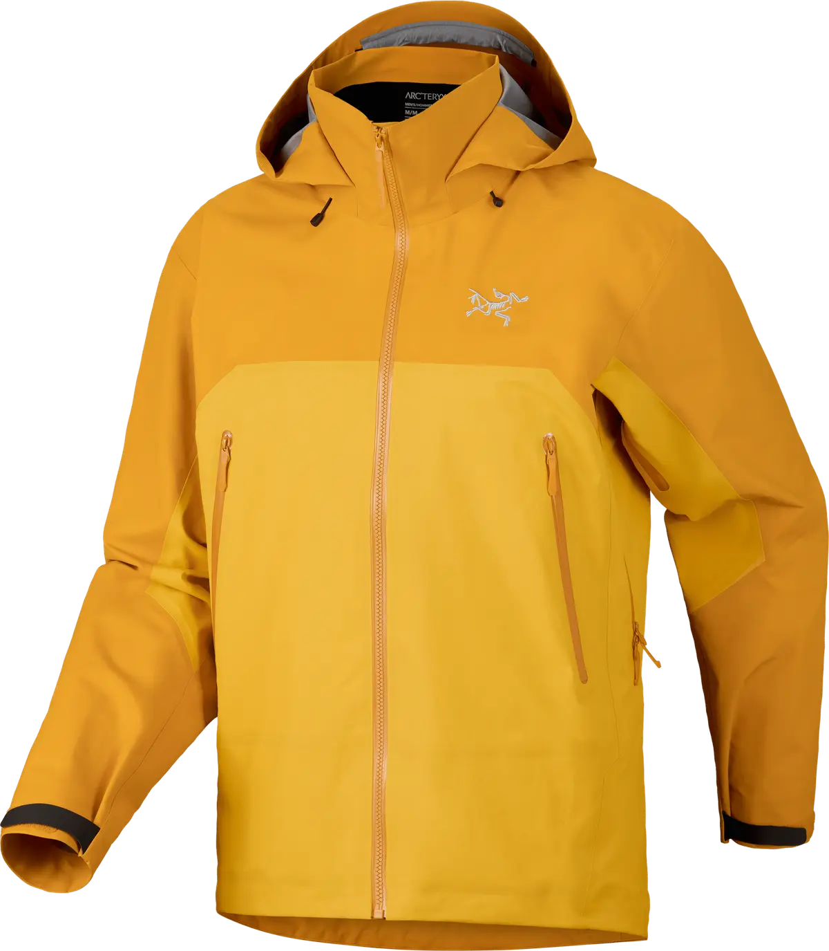 Arc'teryx Men's Beta AR Jacket Nucleus/Larch