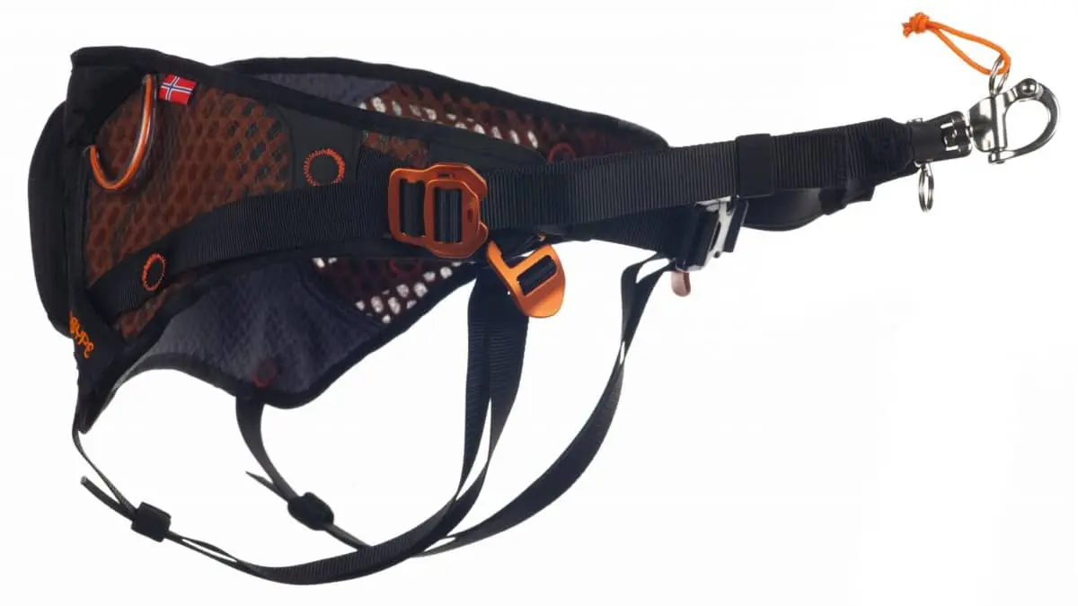 Non-stop Dogwear Løype Belt Orange