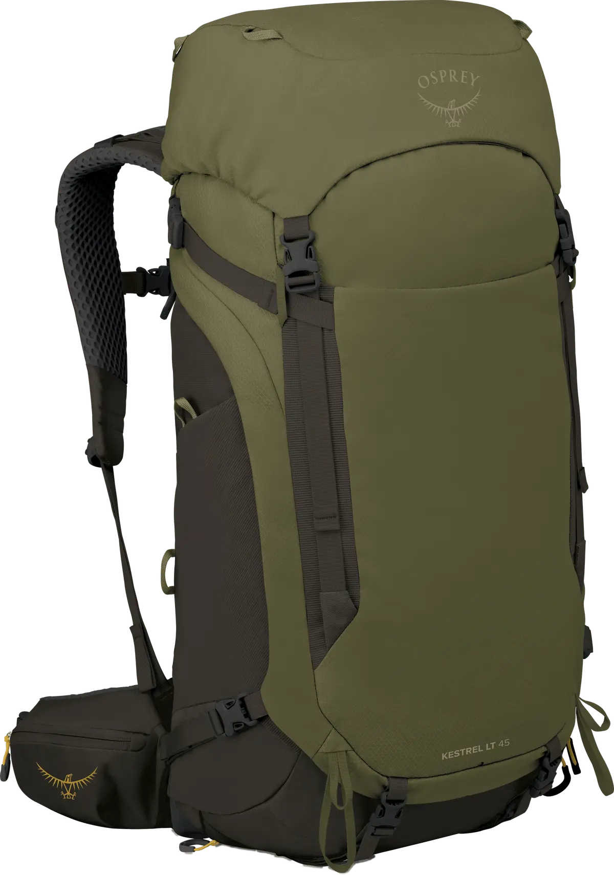 Osprey Men's Kestrel LT 45 Moss Green