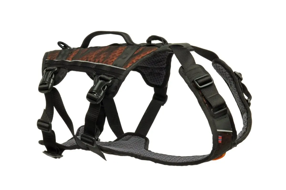 Non-stop Dogwear Rock Harness Long Black/Orange M