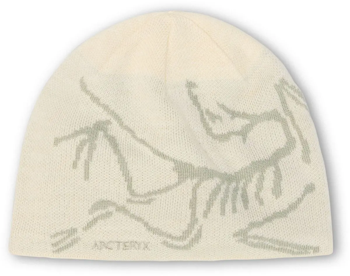 Arc'teryx Bird Head Toque Sea Salt / Habitat