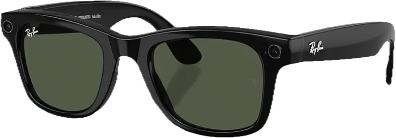 Ray-Ban Wayfarer Shiny Black / G15 Green