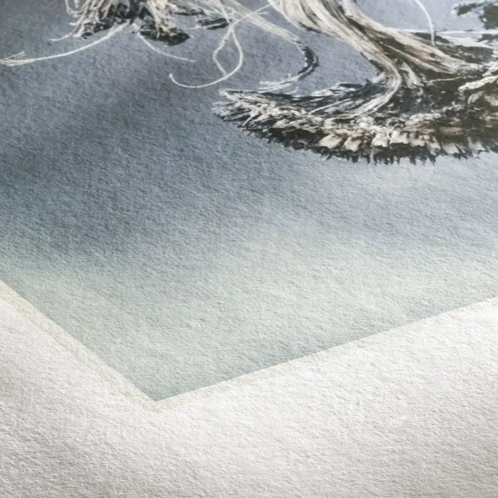 Hahnemühle Museum Etching Deckle Edge