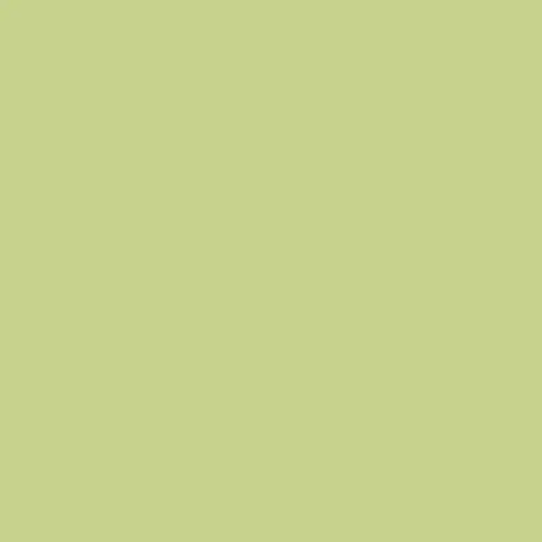 Rosco E-Colour+ 244 Plus Green