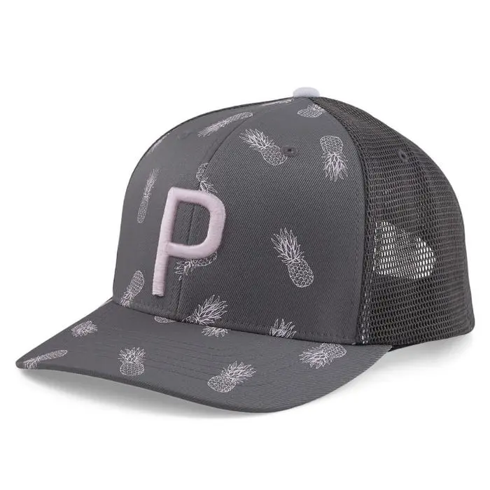 Pineapple Trucker P Caps Grå