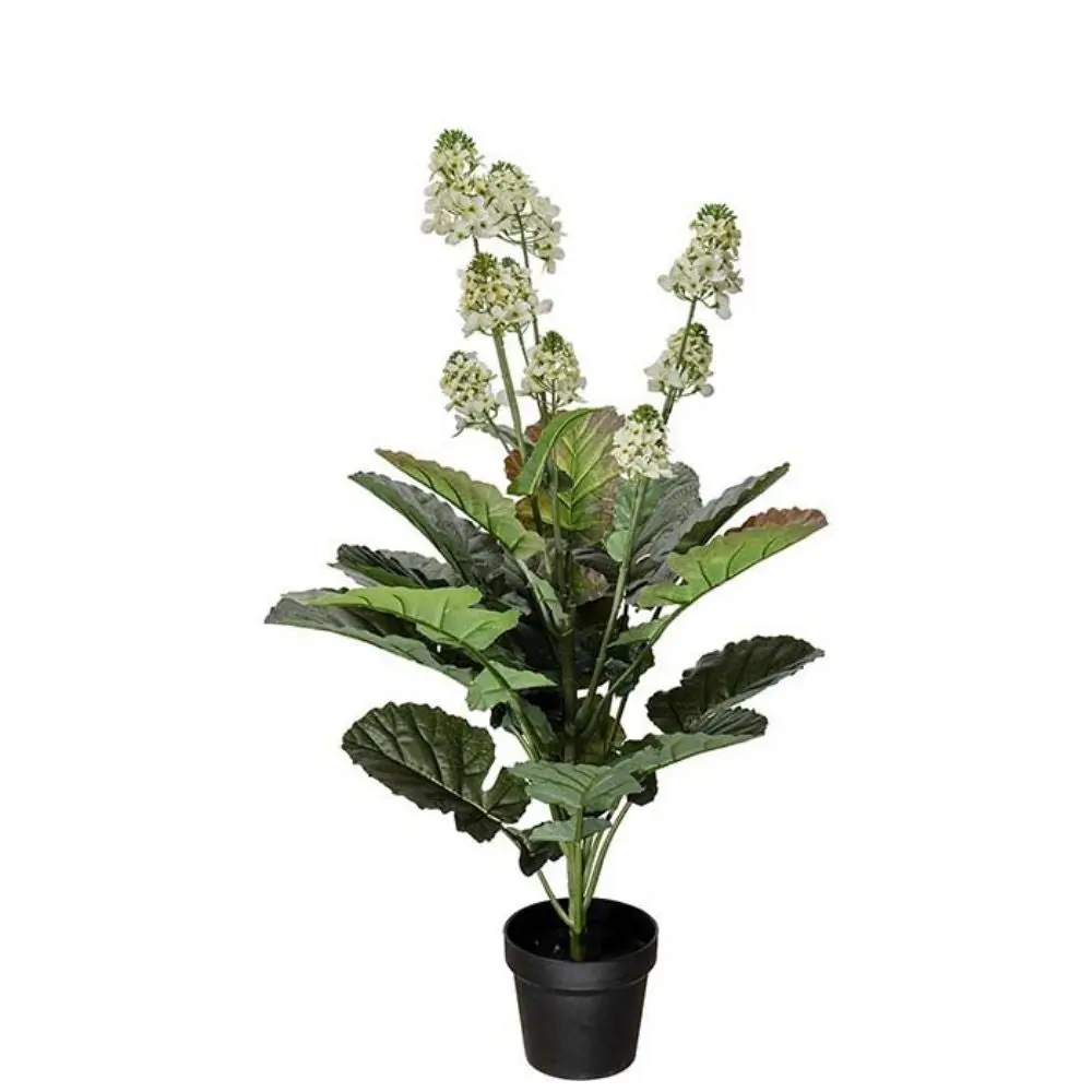 Cole Blomst Hvit 105 cm