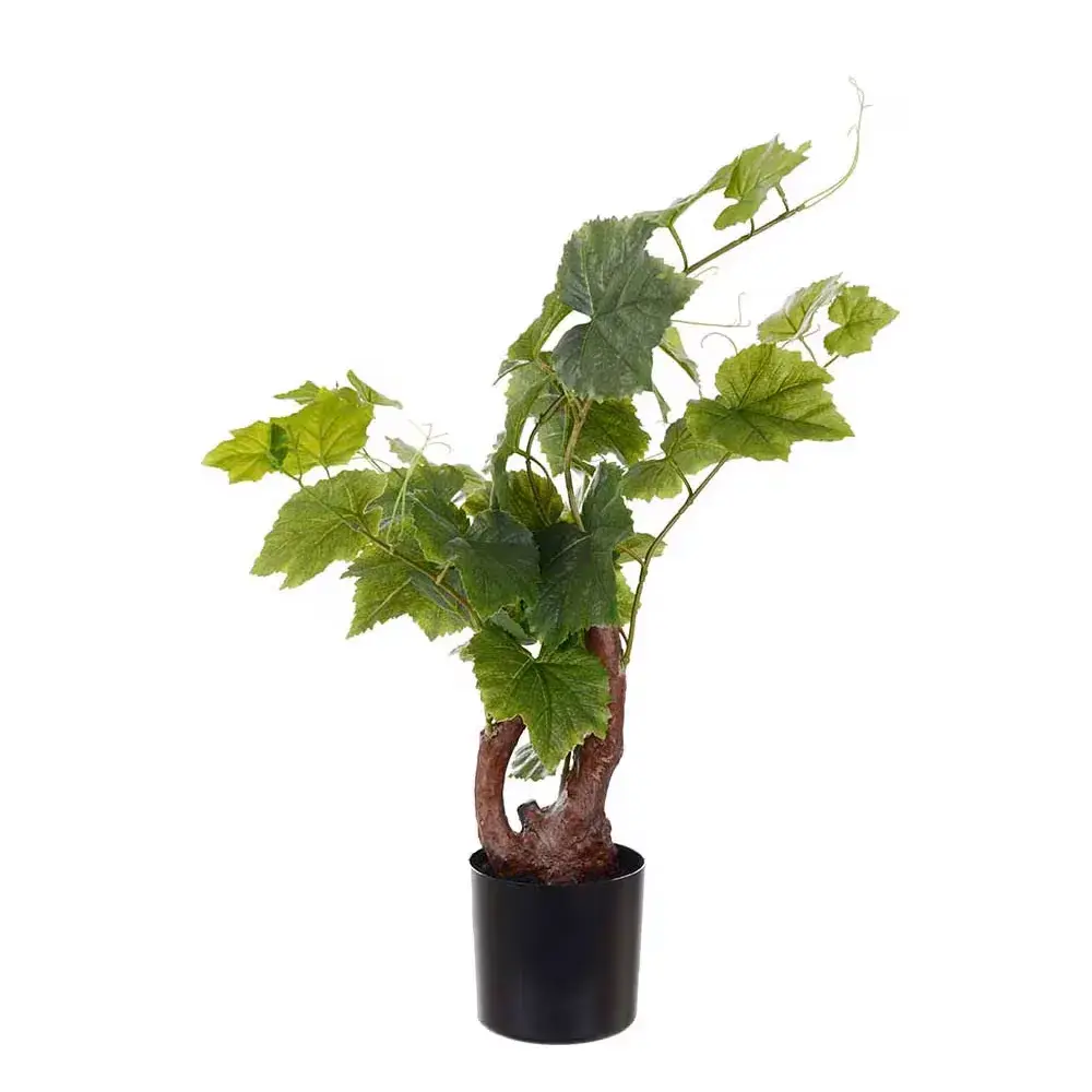 Vintreet 55 cm