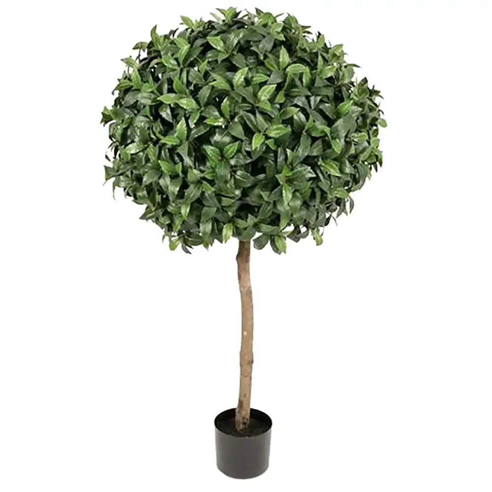 Lagerbladtre 135 cm