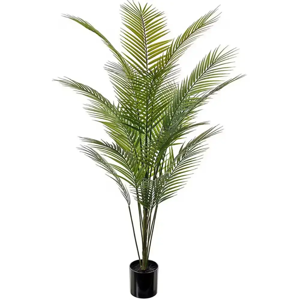 Fjellpalme Grønn potteplante 140 cm
