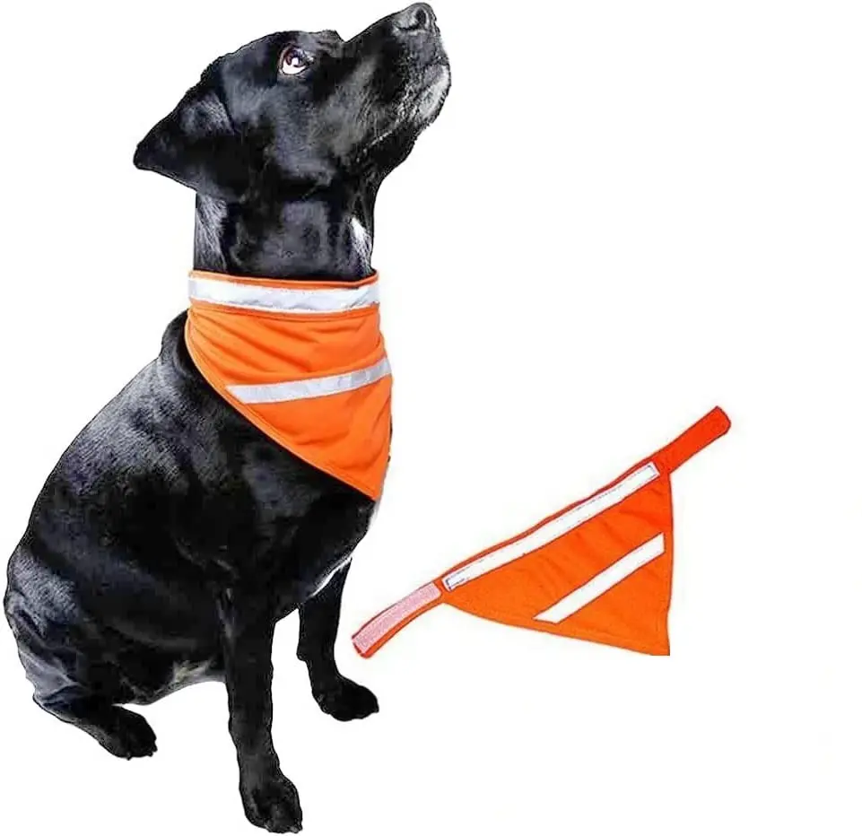 Oransj refleks bandana / skjerf for hund