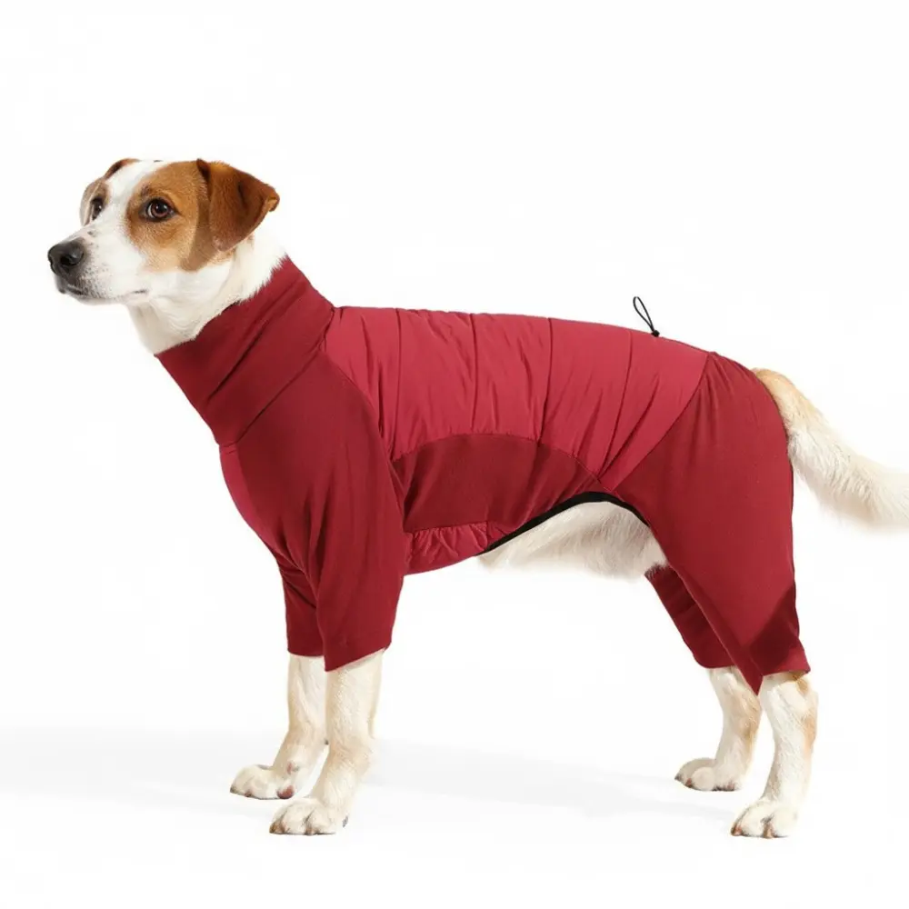 Rød heldress til hund