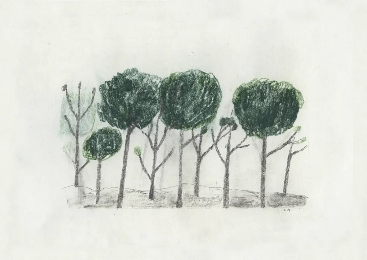Trees plakat 50 x 70 cm, Sort-offwhite