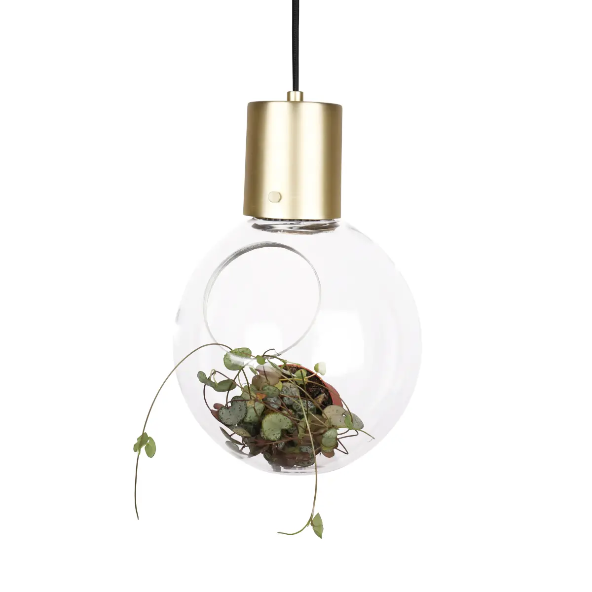 Mini Hole taklampe, klar-messing