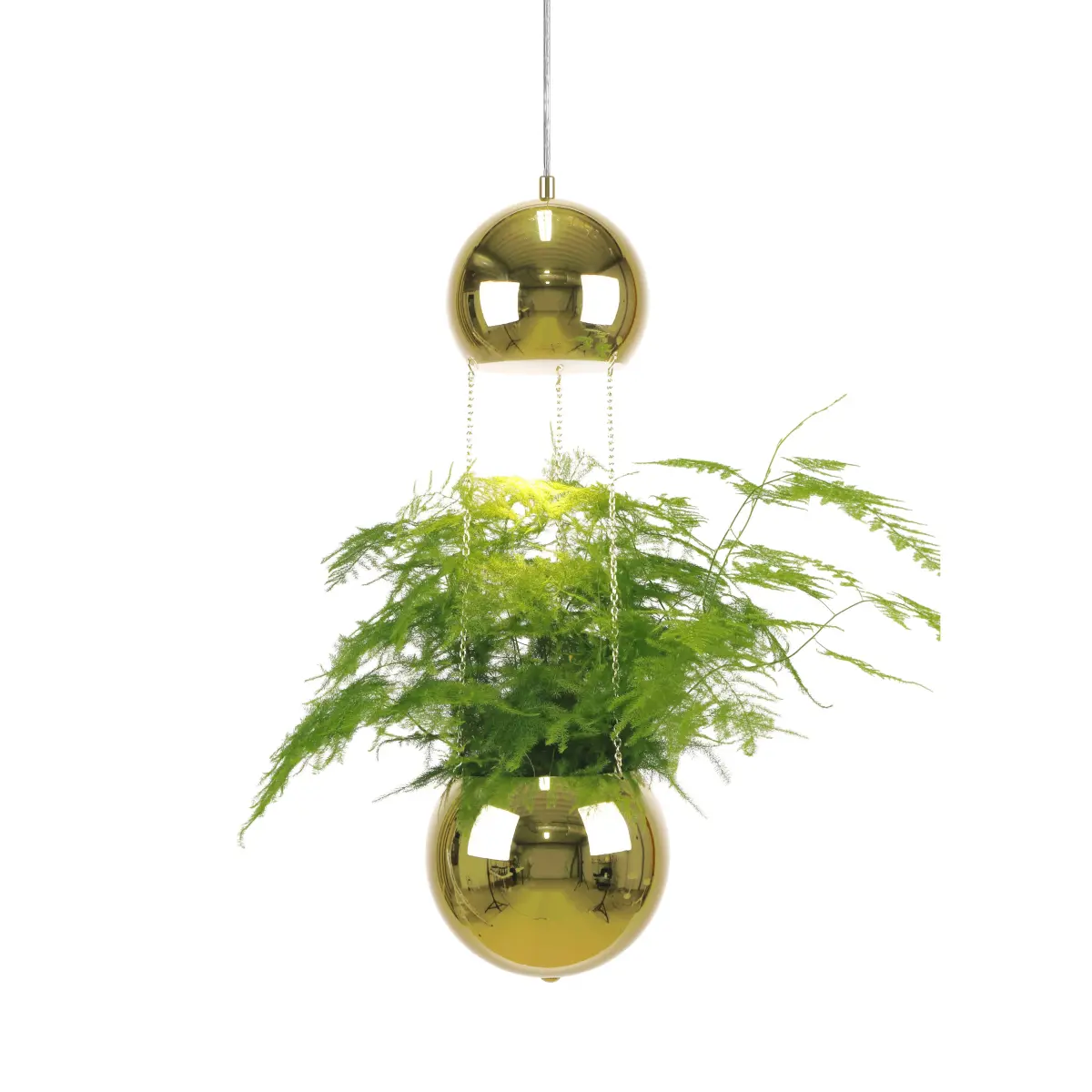 Planter taklampe og planteoppheng, messing