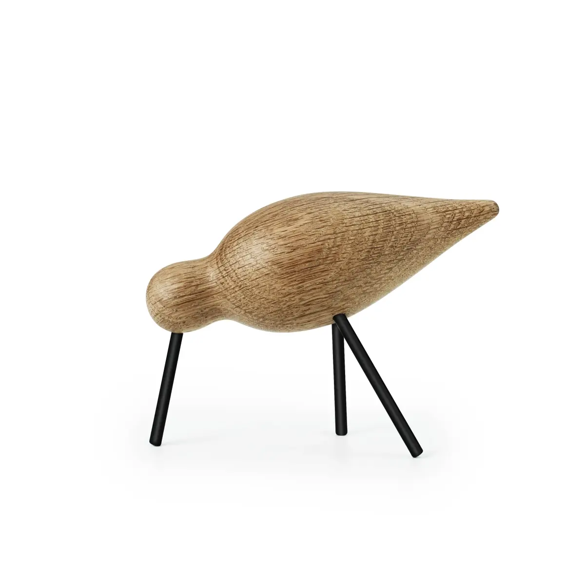 Shorebird eik-svart, middels