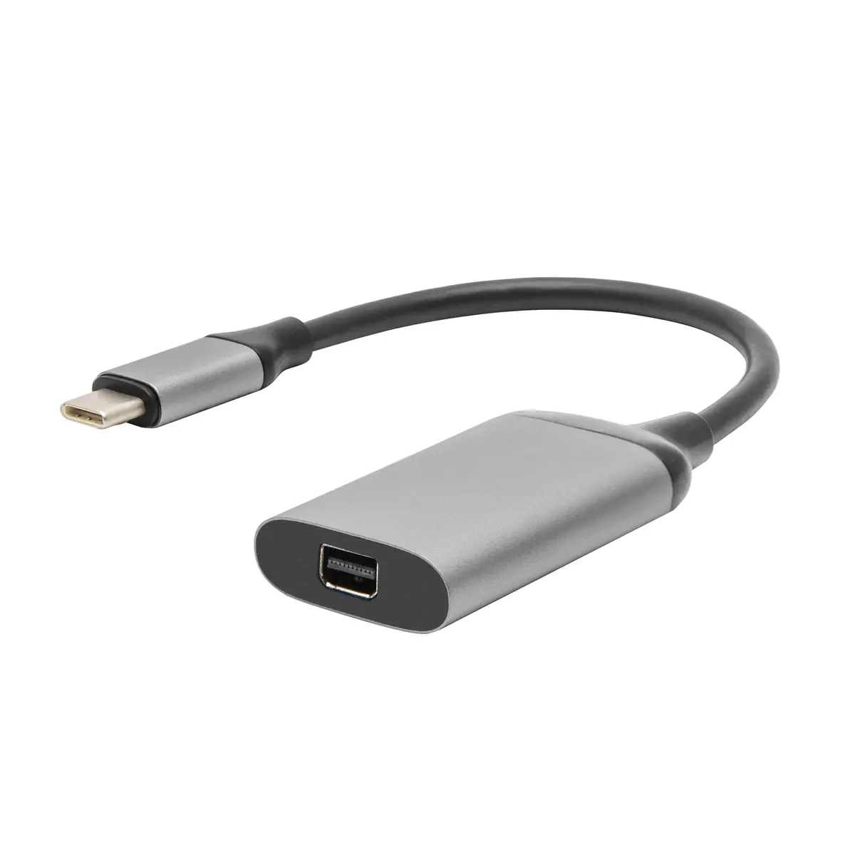 Luxorparts Adapter USB-C til Mini-displayport
