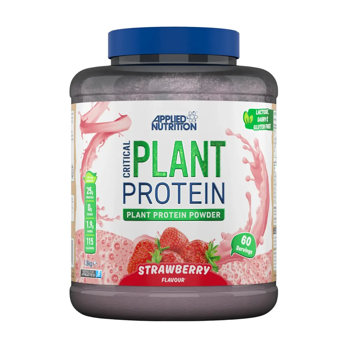 Plant Based Protein - 1.8 KG