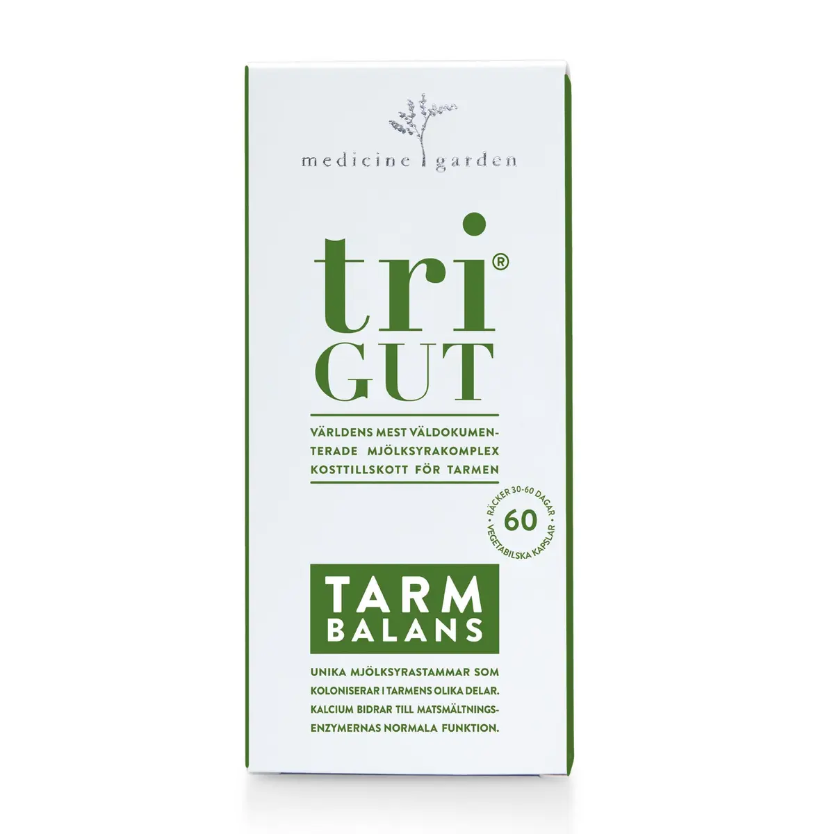 Trigut