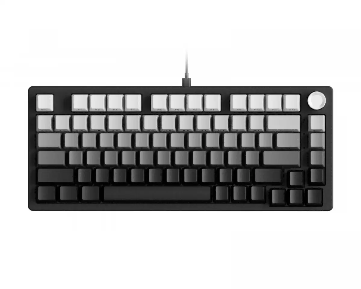 EWEADN DK75 Gamingtastatur ANSI - Gradient Black