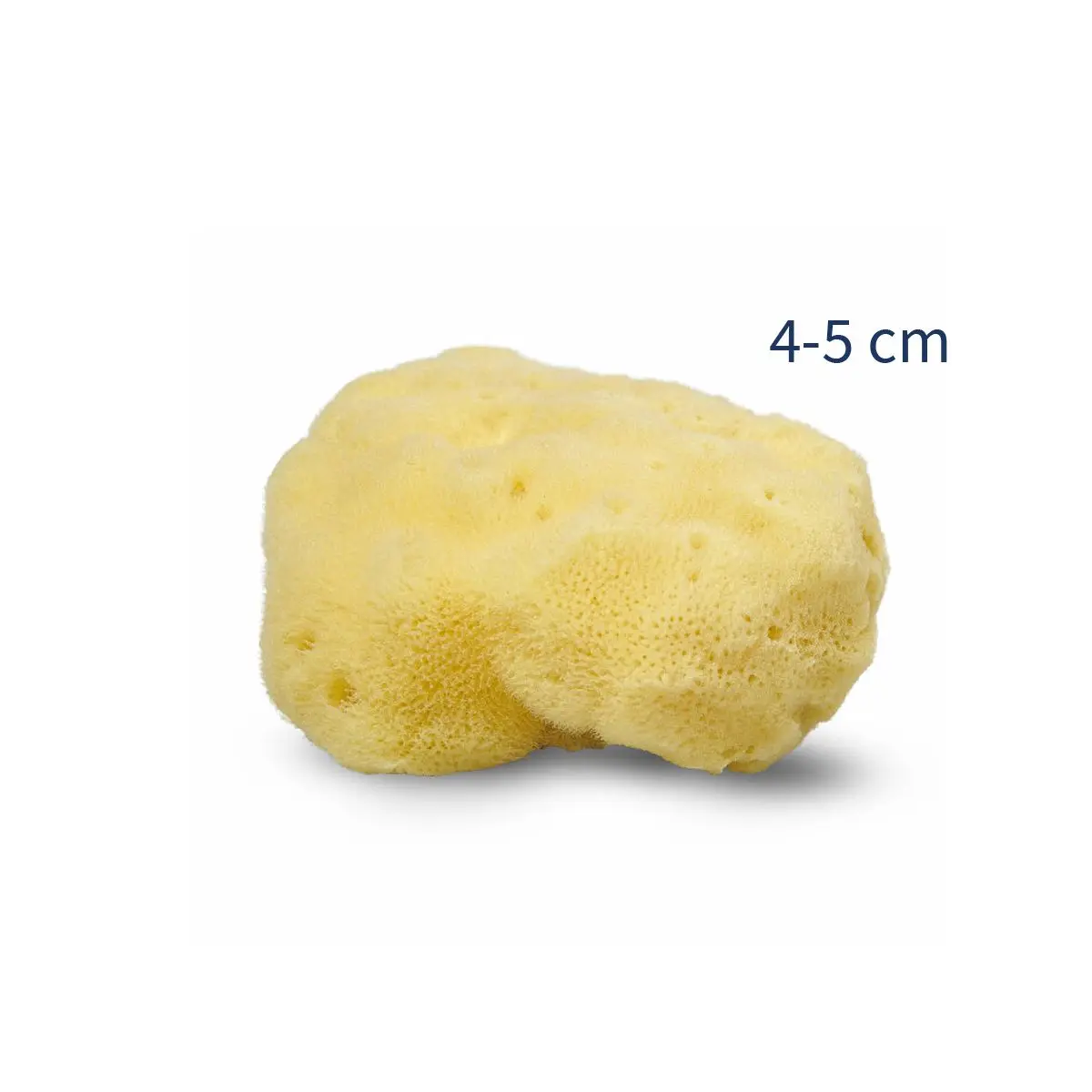 Cocoon Organic Laundry Silke svamp 4-5 cm.