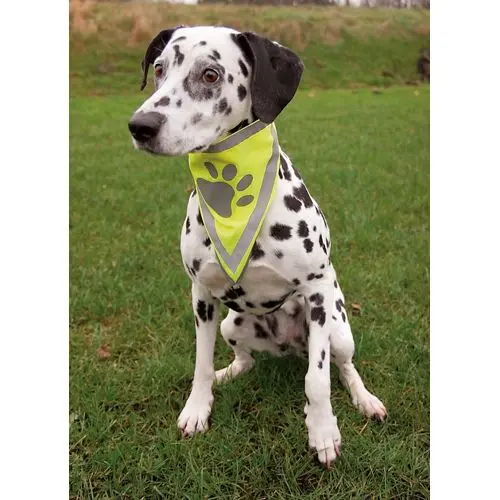 Trixie bandana m. refleks - S/M