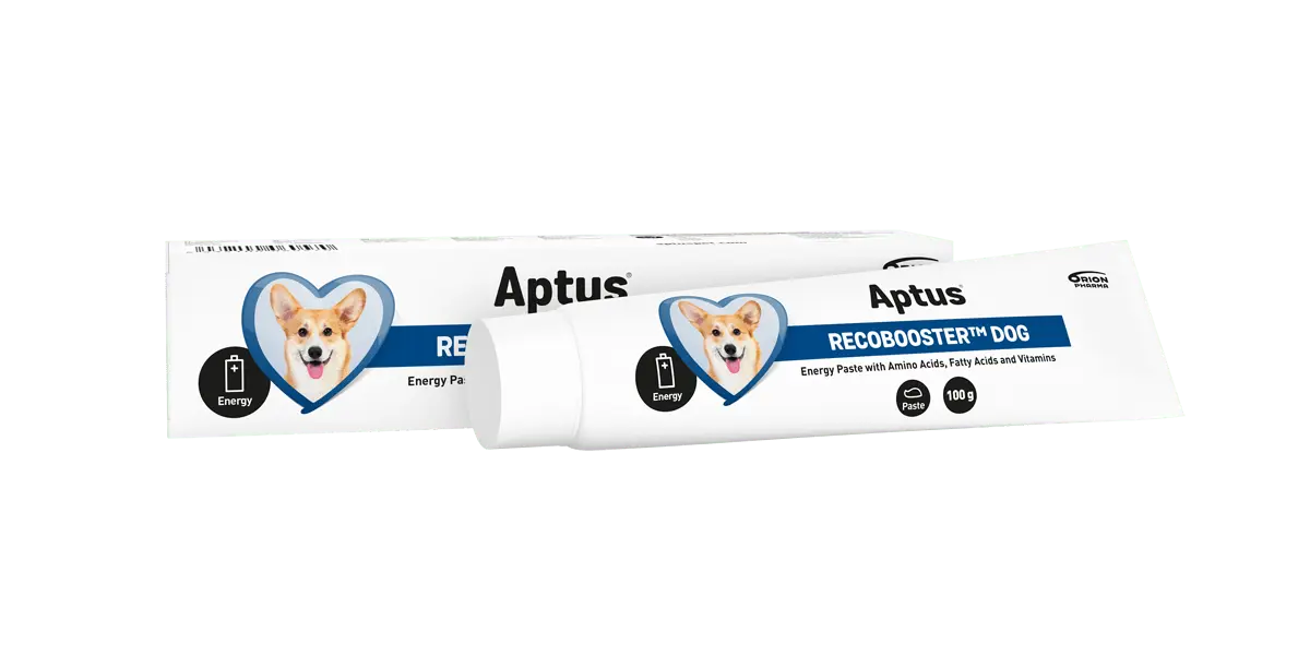 Aptus RecoBooster Dog