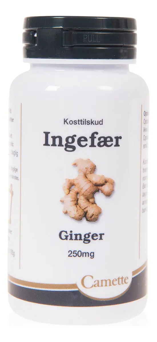 Camette Ingefær - 140 tabl.