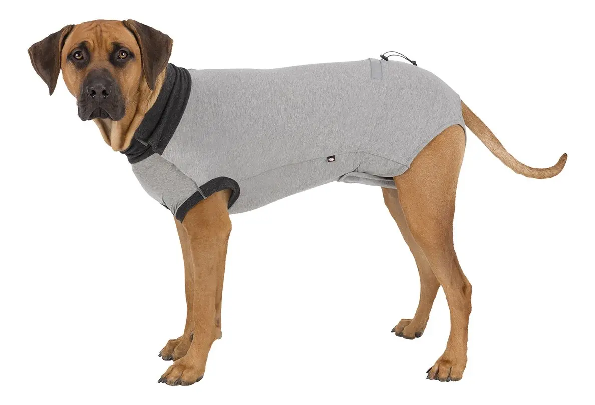 Trixie Beskyttelsesdrakt 55 cm - L